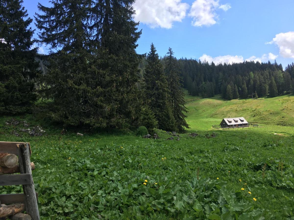 Wengerwirt Zur Laube Bed & Breakfast Weng im Gesause Exterior photo