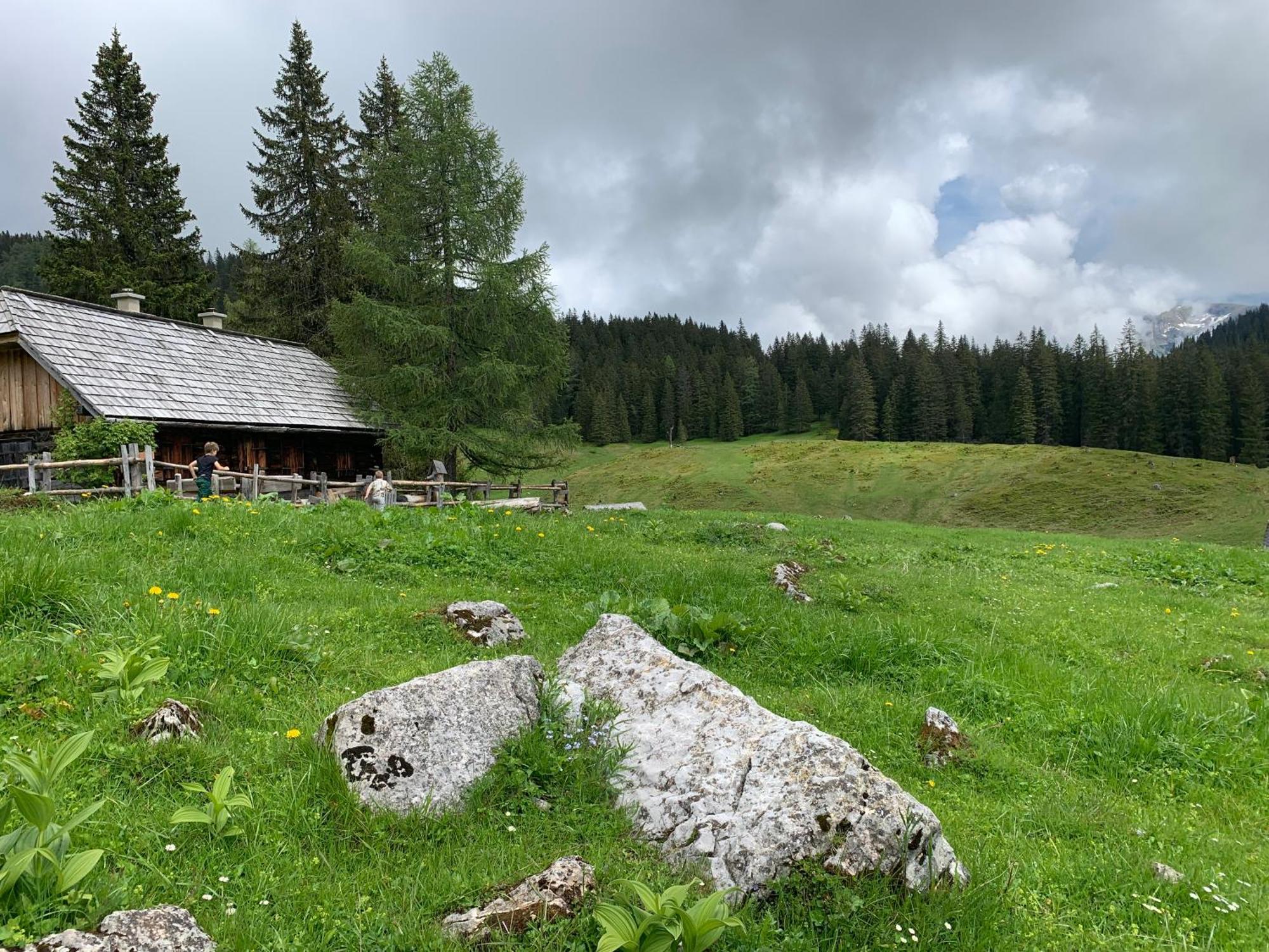 Wengerwirt Zur Laube Bed & Breakfast Weng im Gesause Exterior photo